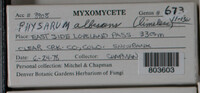 Image Associated With the Occurence